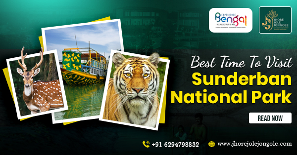 Best Time To Visit Sunderban National Park